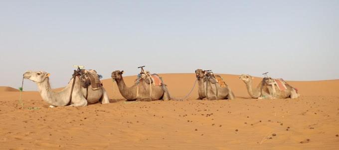 Kasbah Hotel Panorama Merzouga Ngoại thất bức ảnh